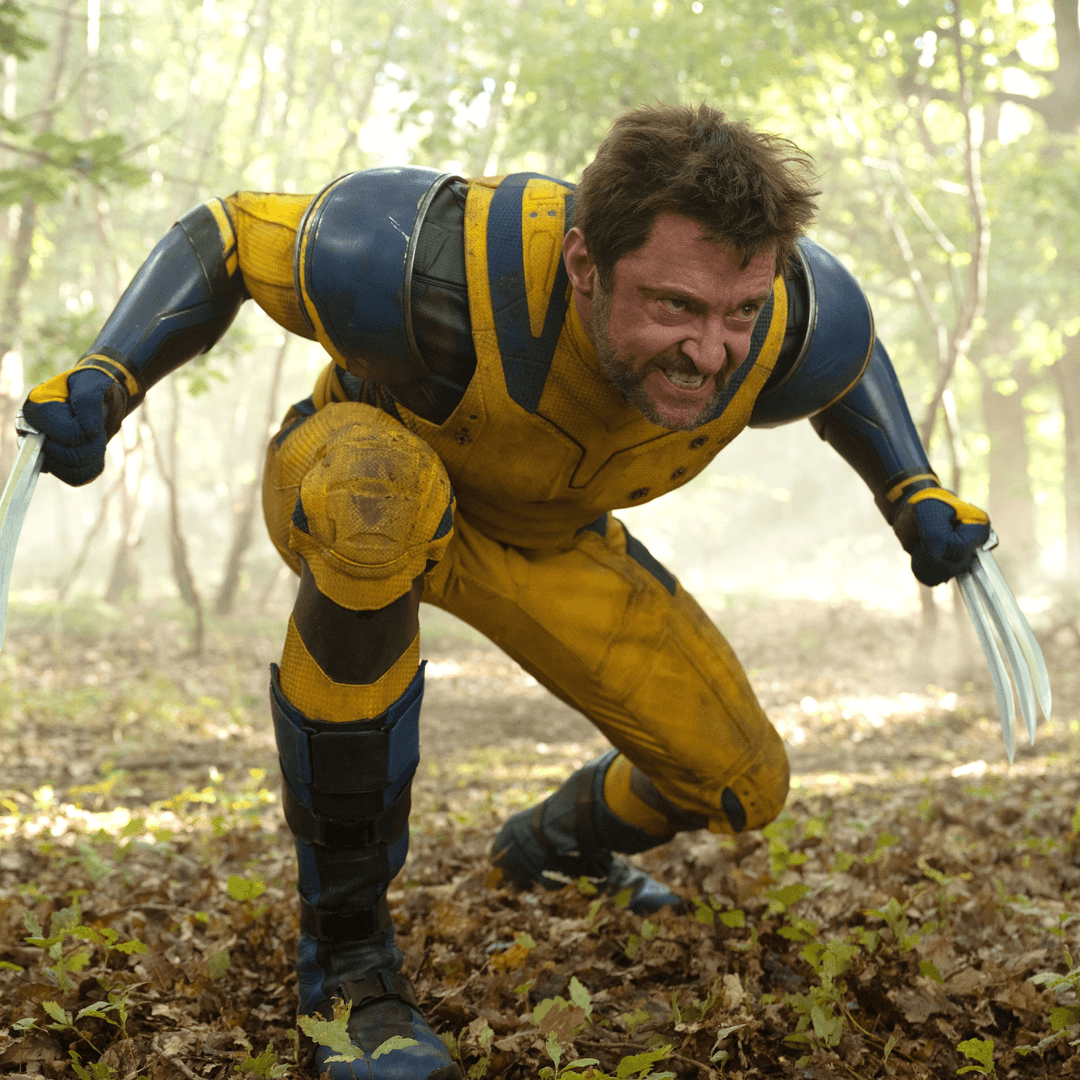 Logan (Deadpool and Wolverine)